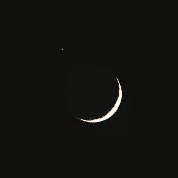 sencergooder's profile picture. Absolute Harmony