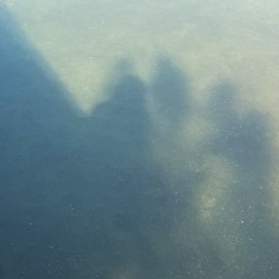 berrybluuberry's profile picture. 귤락도 락이다