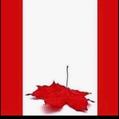 sodunwiththis1's profile picture. Disgusted with Politicians, Judicial System, RCMP