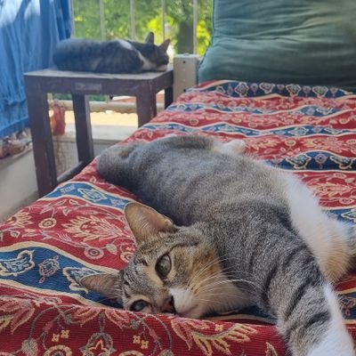 mrblobi_'s profile picture. i make art (sometimes) 💚🤍🩶🖤《dms open for jean moreau》🎨pfp by Lunel_la