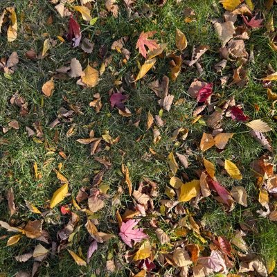 DjPhreshPharaoh's profile picture. Do you know…The muffin man?