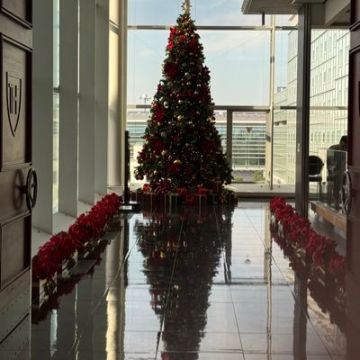 LoveLive_RK's profile picture. 30↑ あつ森 / ラ！ / 学マス / Disney / tennis / D5 / NiziU / 桜 / Conan / NEXZ / HANA /etc...関係の無い内容等はブロックさせて貰います。訳もなくいいね、フォロー迷惑