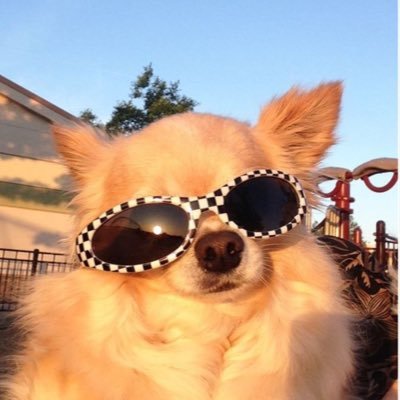 Hokwol's profile picture. 쫄지마라탕…미쳤니?