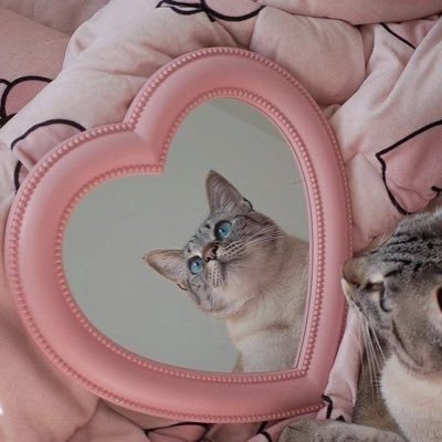 skyfallin_137's profile picture. #𝐃𝐀𝐘𝟔 | It's a good day to be a My Day!