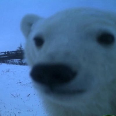 3ddi_e's profile picture. self care 💙