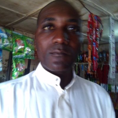 provision175070's profile picture. 