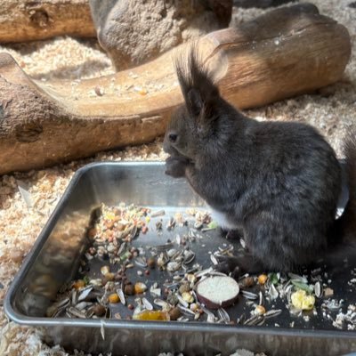 mz_nno's profile picture. コスプレが趣味の人