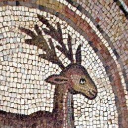 trelicastudio's profile picture. Catholic, often inspired… I curate antiques & devotional objects 🕊️