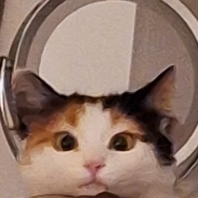 janirec_'s profile picture. 