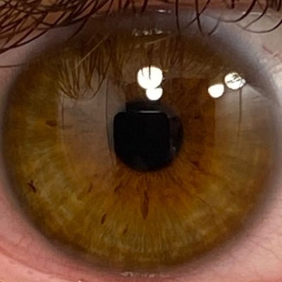 ICannotFindA's profile picture. VlachWelshCognate