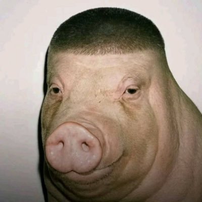WiggerPigSol's profile picture. $WiggerPig what’s up my wigger OINK HxmPueExxCSnsGM61weLTnwuL1gwfcaBPDisAXM3pump