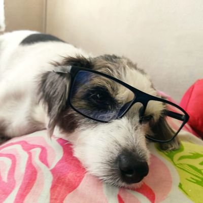 DianaCa51855517's profile picture. Dios es real!!