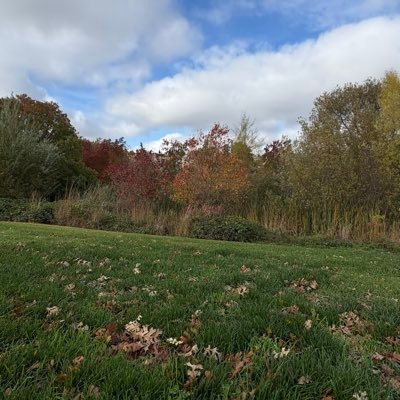 beolkkul1011's profile picture. 