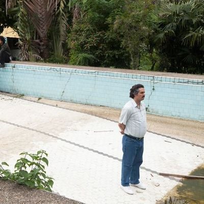 posytweets's profile picture. Just your regular DUDE