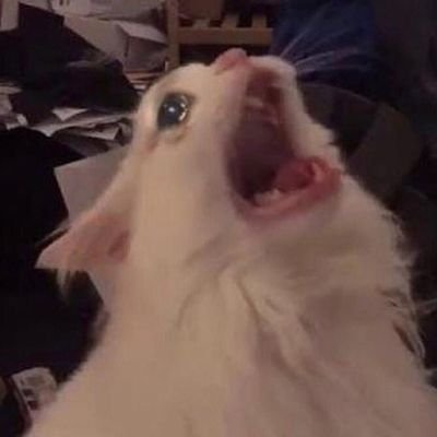 pelmacore's profile picture. bruhhh...🙄