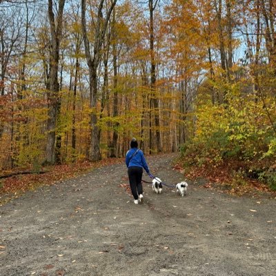 MontessoriFing1's profile picture. 