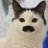 KuCeI55's profile image