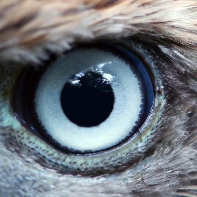 end_vzz's profile picture. 