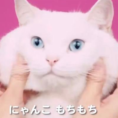 randaBTC's profile picture. 비트주세요