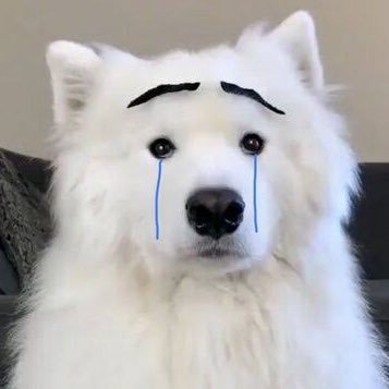 bmild93's profile picture. 𝐌𝐀𝐗｜𝐍𝐀𝐓 💖💙 #mmaxmax #natasitt #MaxNat ꔛ #ฮาร์ทดิสของแม้กณฐ 🦖🍼🎐🌈🍀✨🌸🌷🦋🍓🎀🧸🌻꒰往后余生所愿皆成꒱🌻