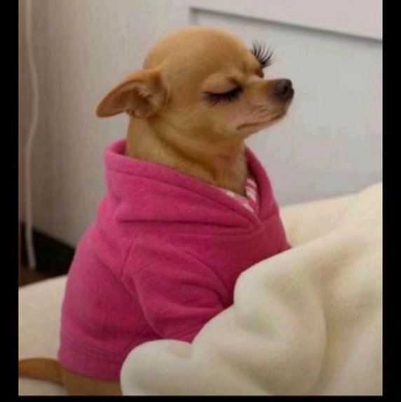 tife_isabel's profile picture. Just giving update about all Privateuniversity doings!!!!!