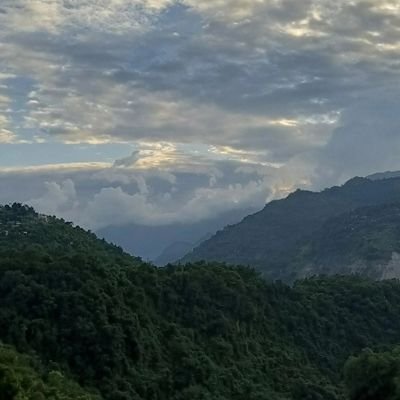 sarojinfo69's profile picture. 