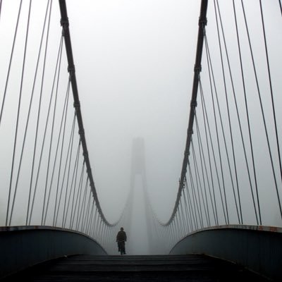 bezfiltera_'s profile picture. 