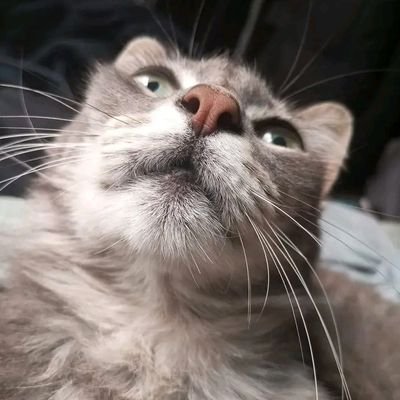 acq_casas's profile picture. 