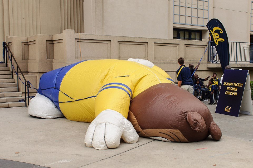 deflatedoski's profile picture. 