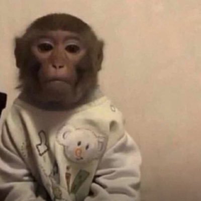 seensational_'s profile picture. CLICK ON THE LINK 👇🏽