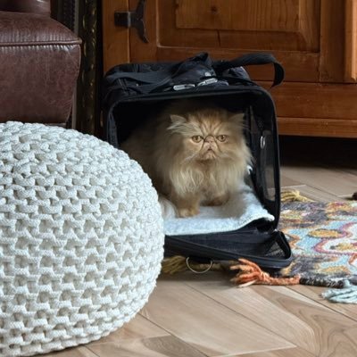 NFelixbaker's profile picture. History Travel✝️✝️✝️🇺🇸 #MAGA #USA1ST #AmericaFirst #Trump #WWJD / Fall of NWO - READ Rev 18