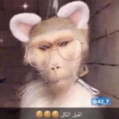 cajusemsemente's profile picture. 