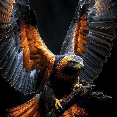 Giovann7448001's profile picture. You will eventually get everything you want.