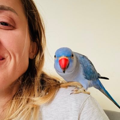 minekoybsi's profile picture. İnstagramda yabancılarla, twitterda tanıdıklarla takipleşilmez..net kural.