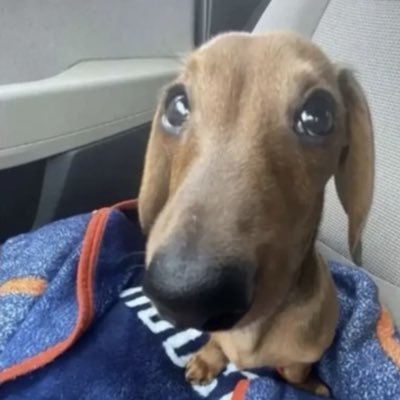 minchanfofos's profile picture. 