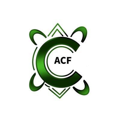 ArewaCryptoFest's profile picture. 