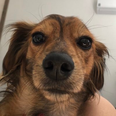 Beatriz_silvaaq's profile picture. 