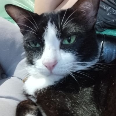 ppangmnr's profile picture. อยากเป็นแมว