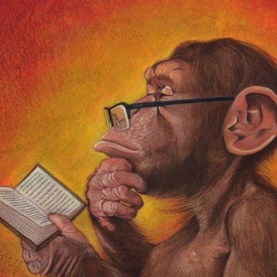 tajo_071's profile picture. variola do macaco