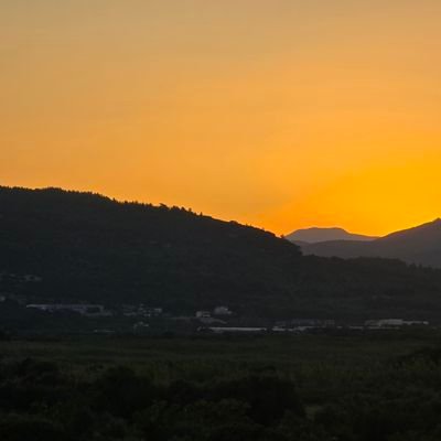 FionaPilks's profile picture. 