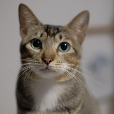 Ruuuuci_o's profile picture. …