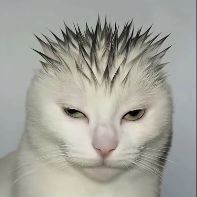 r1esaaa's profile picture. (✧ᴗ✧) 🐧 ⋂