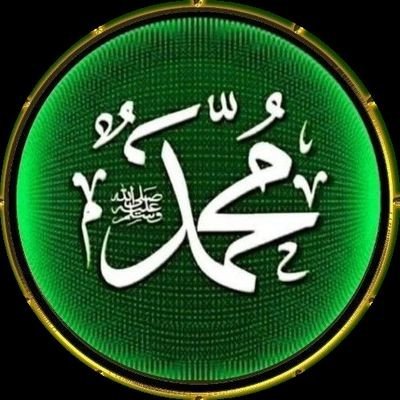 GNavidofpk's profile picture. Data Analysis and Research