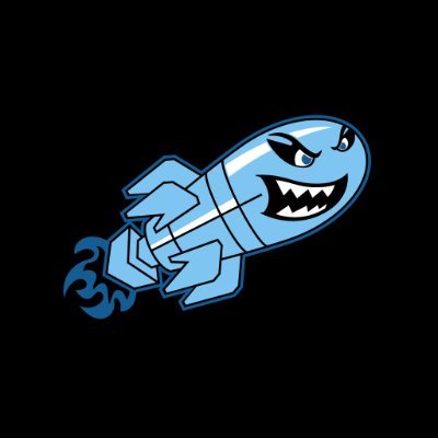 bombersbsbl__'s profile picture. ⚾️ 8u - 18u Travel Baseball Org
🎯 500+ College Commitments
📍GS Performance Co 
#BOMBERNATION