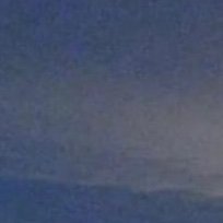 SparkLonely's profile picture. 