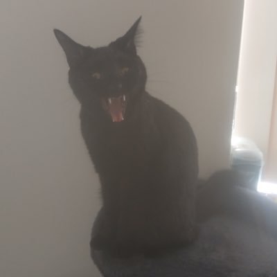 bpaone51343's profile picture. Father & Son channel, Proud Italian American Loyal to God Country Pararescue, MACVSOG "live free or die Political fanatics Above the Law", sports & Freedom.