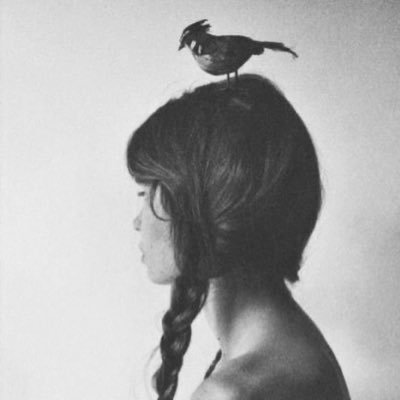 peatfoid's profile picture. 