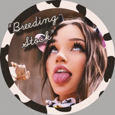 SOFTESTFAG's profile picture. ೃ⁀➷ 𝙔𝙊𝙐𝙍 𝙉𝙀𝙒 𝘽𝙍𝙀𝙀𝘿𝙄𝙉𝙂 𝙎𝙏𝙊𝘾𝙆|ᶠᵉᵐᵇᵒʸ| ¹⁸ʸᵒ|ᴼᵖᵉⁿ ᴰᵐˢ|ᶜᵘᵐ ᴰᵘᵐᵖ| ᶜᵒᶜᵏ ᴸᵒᵛⁱⁿᵍ ᴬᵈᵈⁱᶜᵗ| ᴼʷⁿᵉʳ:@UKPrettyBrat|