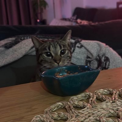 muuraylockhartt's profile picture. 