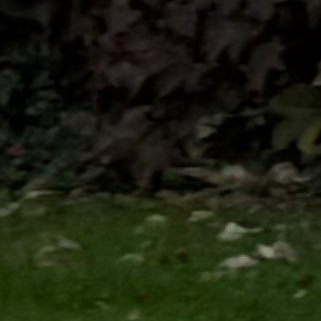 JohnSteamValve's profile picture. 18 | Im Fucking Done | Birthday linked to my account is fake, I am still 18+ though